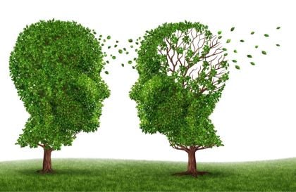 Caring for a loved one with Alzheimer's disease — practical carer support