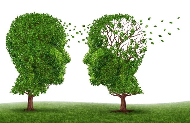 Caring for a loved one with Alzheimer's disease — practical carer support
