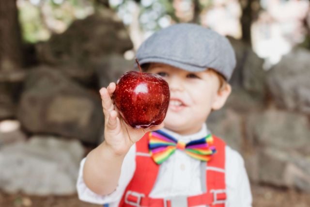 Healthy School Lunches — A Practical Australian Parent's Guide (2025)