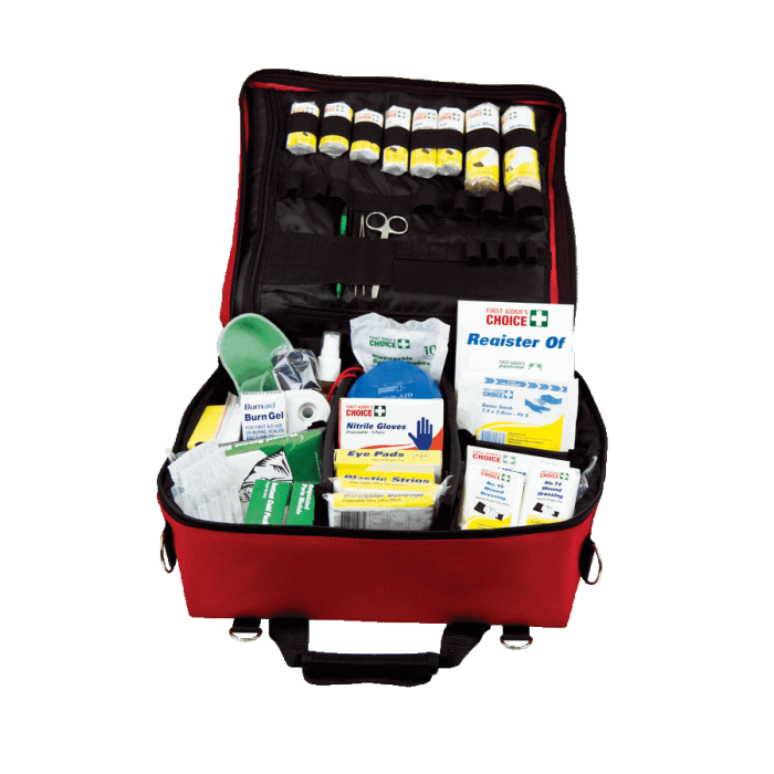 Trafalgar Portable Soft Case National Workplace First Aid Kit