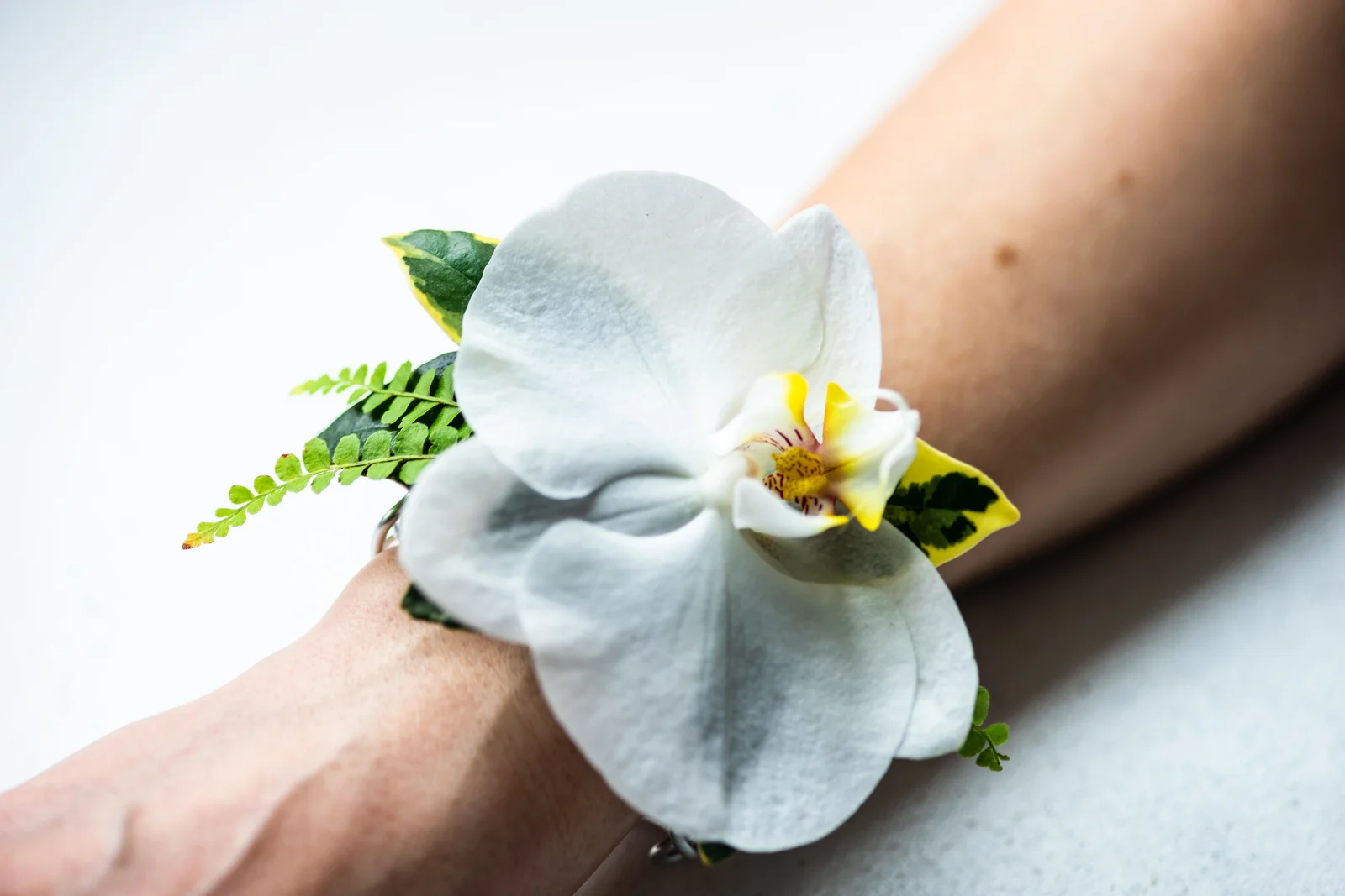How to Use Your Mediband — Complete Setup, Care & Daily Wear Guide