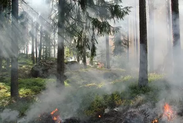Emergency Preparedness for Natural Disasters: How to Stay Safe with a Medical Condition