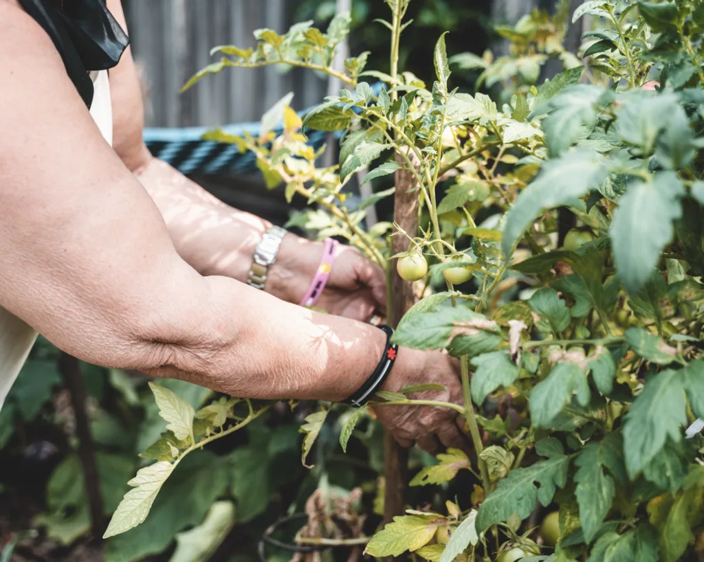 5 Reasons Why It Is Important to Spend Time Outside Everyday