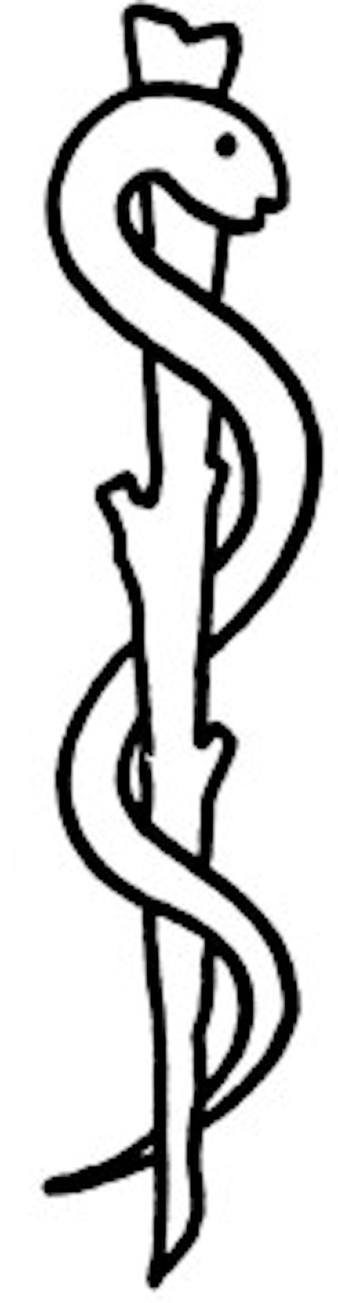 The Staff of Asclepius — single snake wrapped around a rod, symbol of medicine and healing
