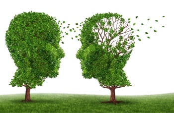 Caring for a loved one with Alzheimer's disease — practical carer support