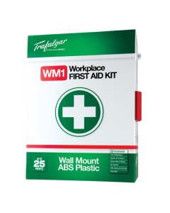 WM1 Workplace First Aid Kit Wallmount - Plastic Case