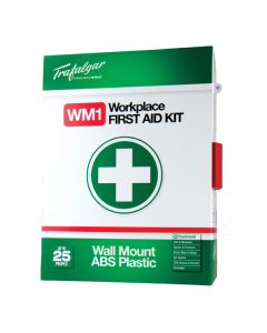 WM1 Workplace First Aid Kit Wallmount - Plastic Case
