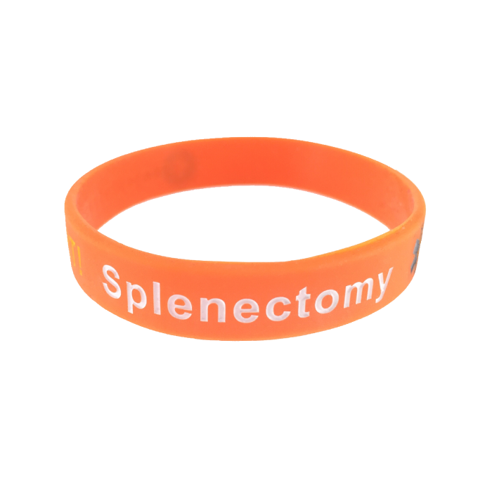 No Spleen wristbands medical alert ID bracelets Set of 3 - Grey Pink Sky No Spleen silicone awareness bands by Butler & Grace.