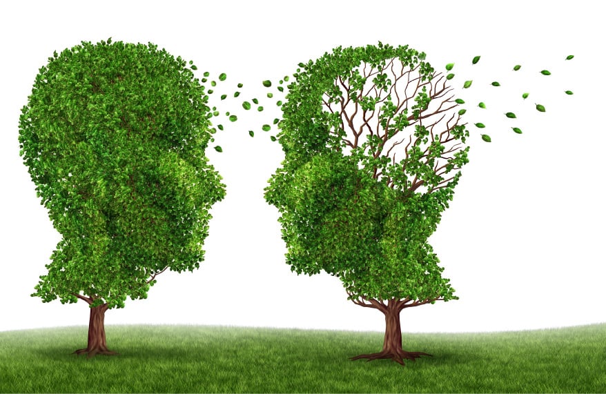 Caring for a loved one with Alzheimer's disease — practical carer support