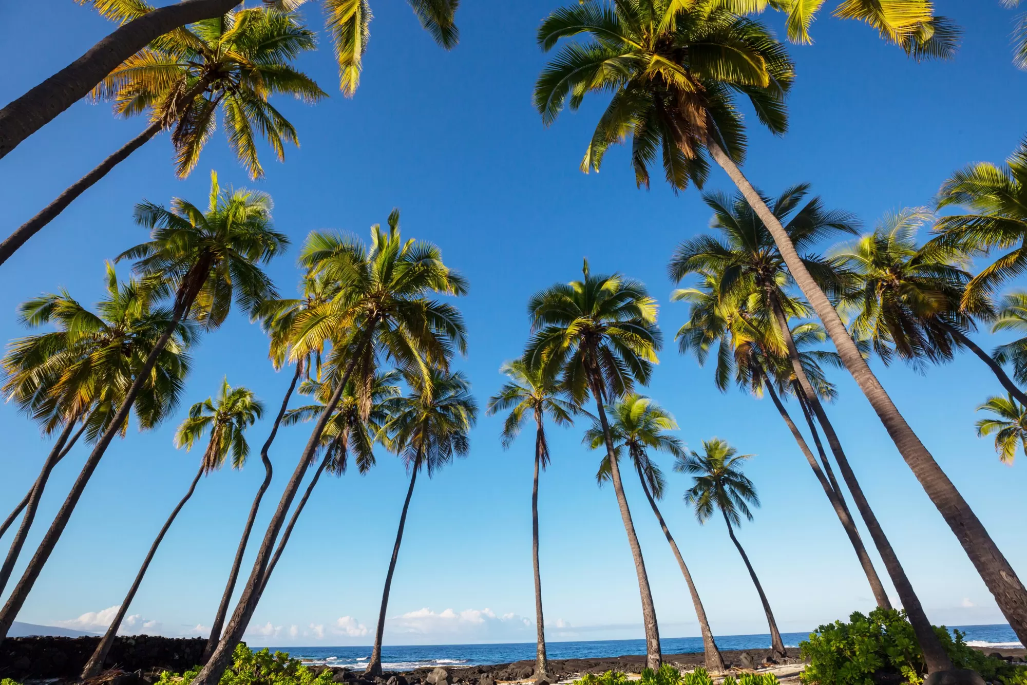 The Ultimate Guide to Planning a Beach Trip: Stay Safe and Have Fun